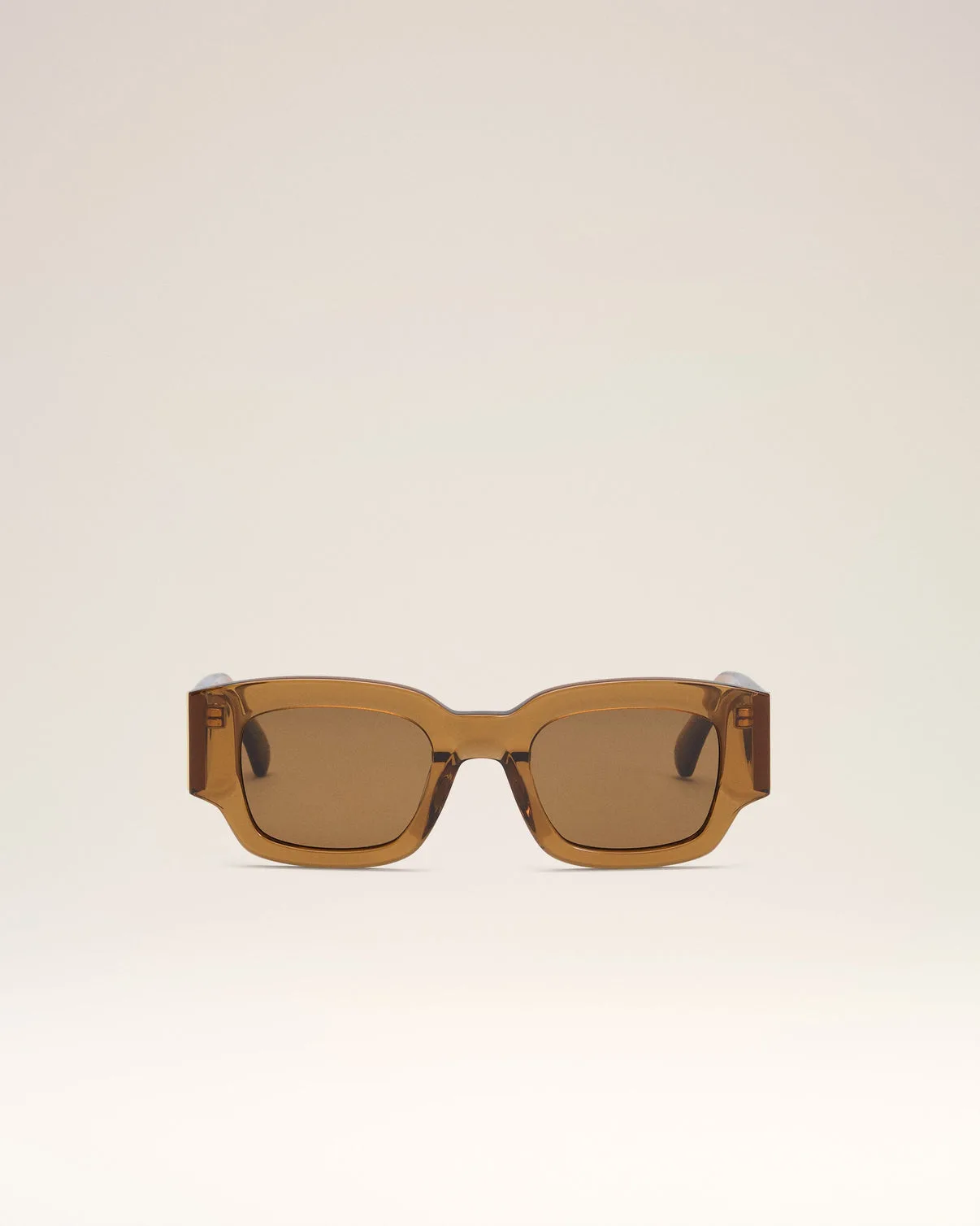 Brown Acetate 75001 Sunglasses