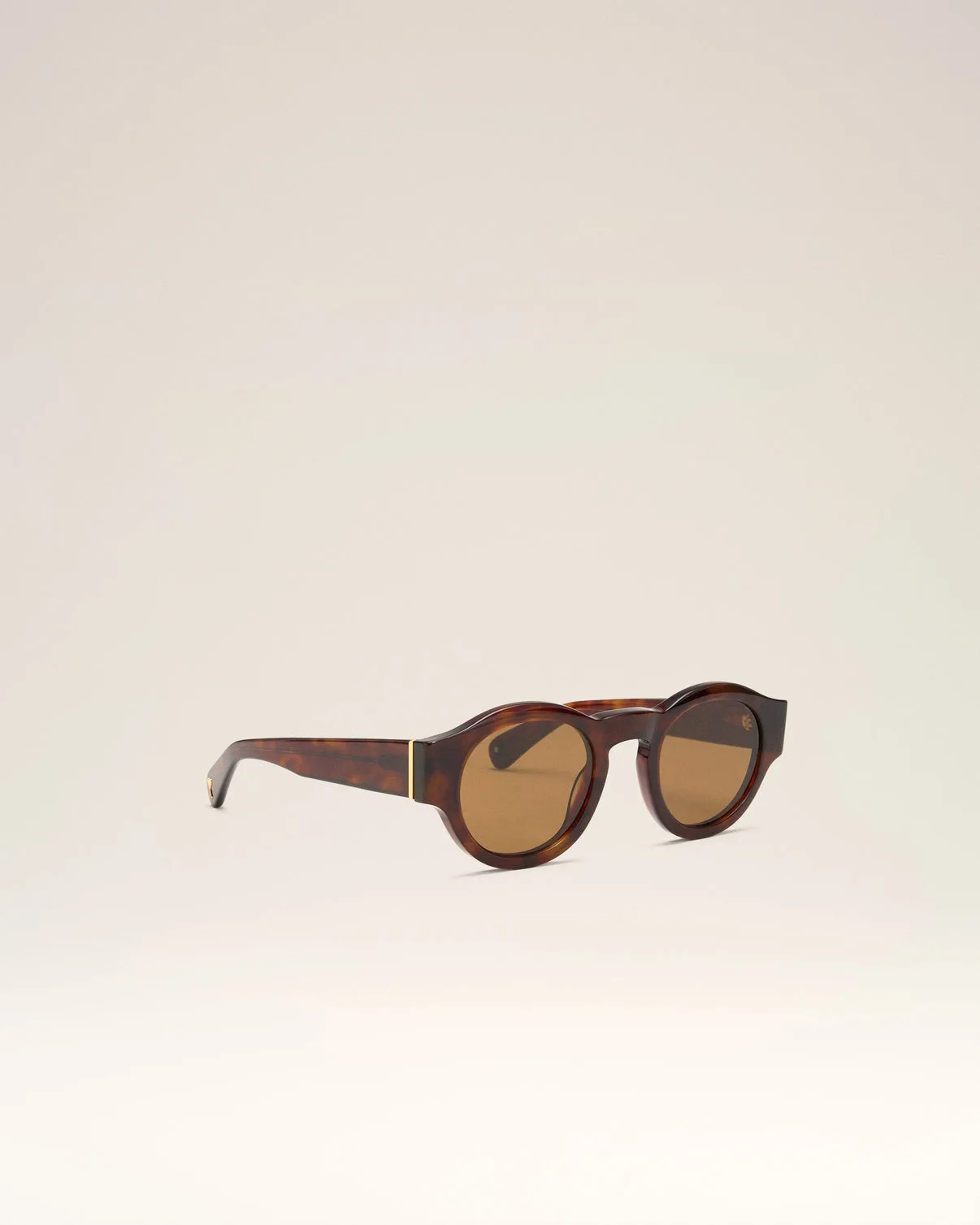 Brown Acetate 75002 Sunglasses