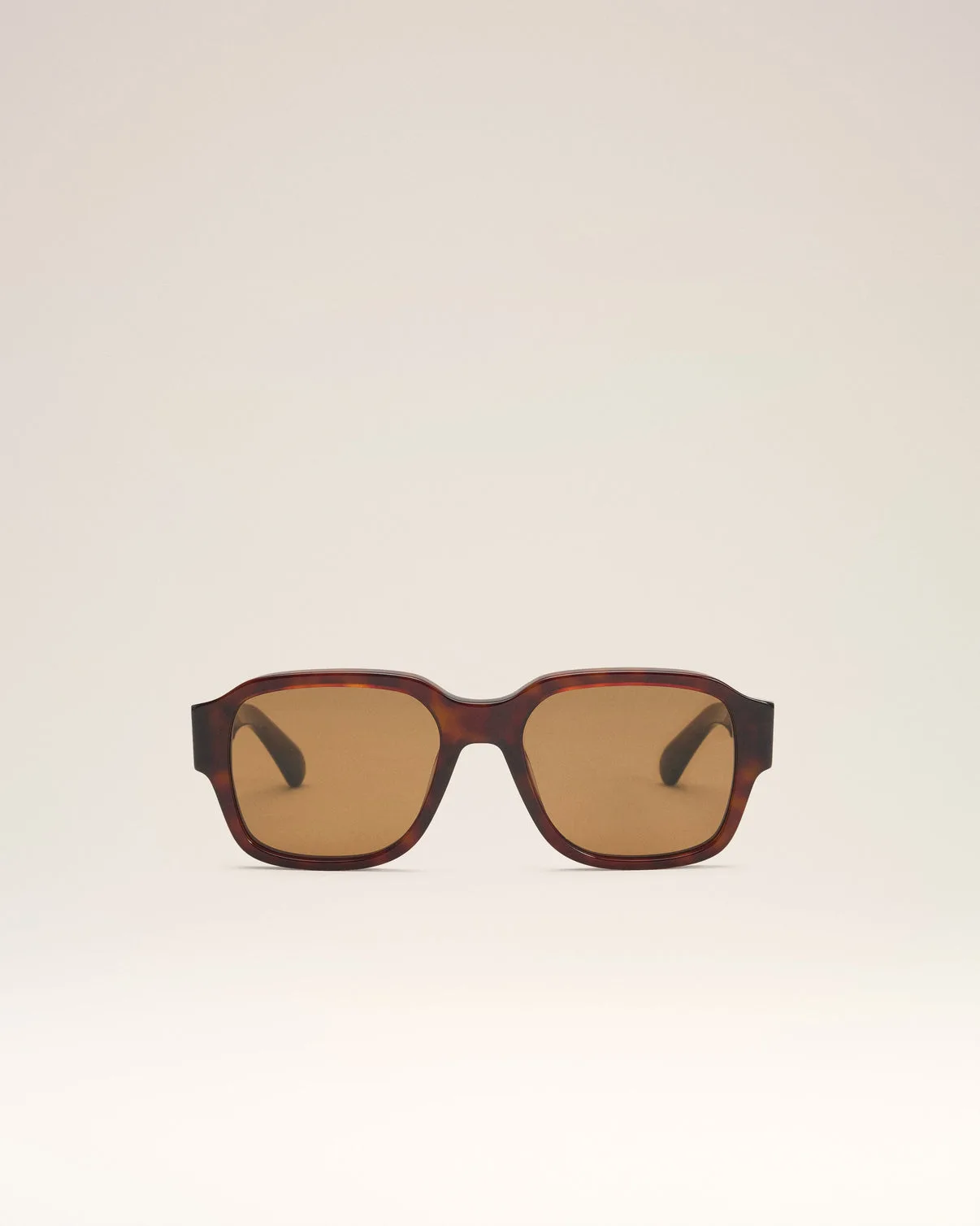 Brown Acetate 75006 Sunglasses