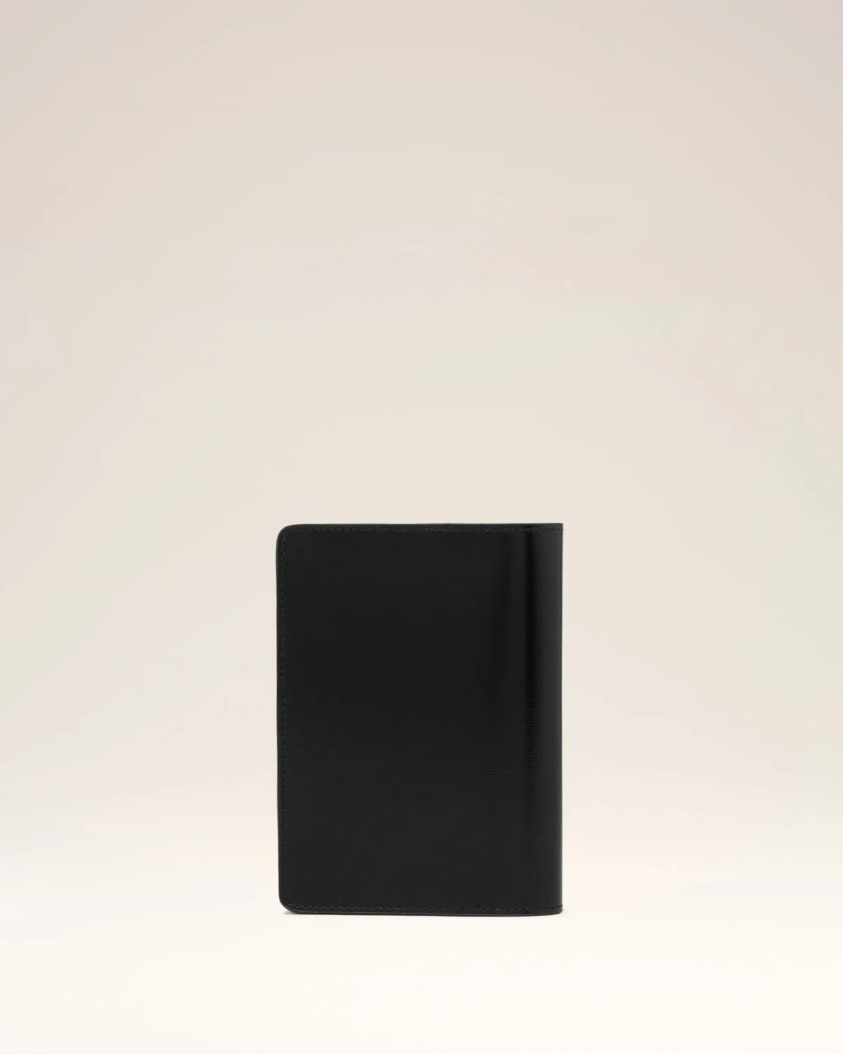 Passport Holder